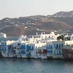 Elena Villa *