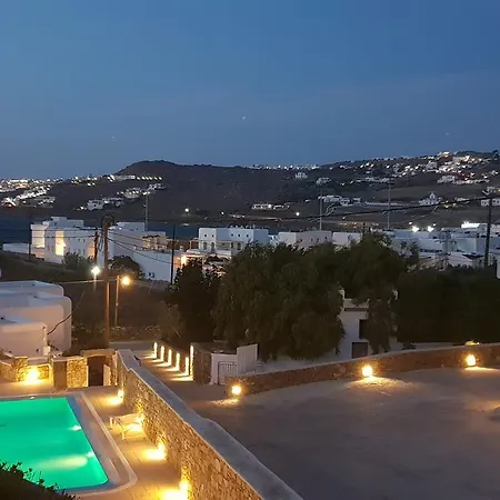 Elena Villa *